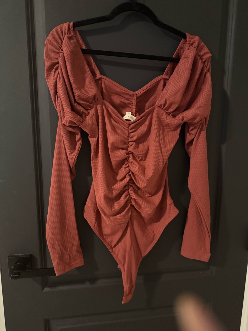 Ruched Long-Sleeve Bodysuit in Burnt Rose - Women Tops